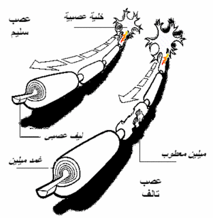 medium_1173777995.gif